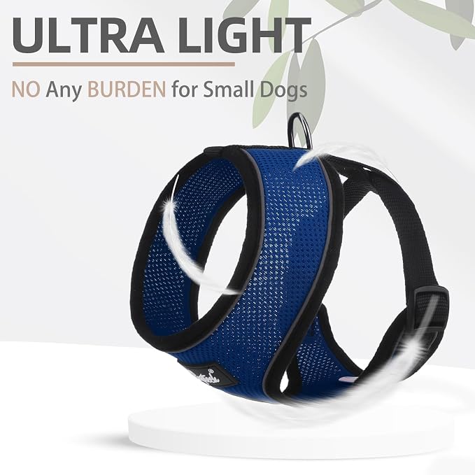 PUPTECK Small Dog Harness and Leash Set No Pull for XS XXS Sized Dogs Puppy | Escape Proof No Choke Pet Cat Adjustable Soft Padded Walking Vest - Image 5