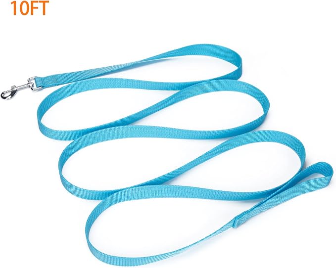 Strong Durable Nylon Dog Training Leash, 1 Inch Wide Traction Rope, 10 ft Long, for Small and Medium Dog (Mint Blue, 10 Feet) - Image 2