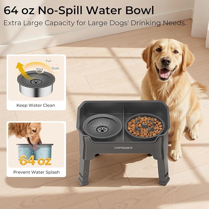 URPOWER Mess Proof Elevated Dog Bowls 4 Height Adjustable Raised Stand | No Spill Water Bowl, Slow Feeder Dog Bowls, Non-Slip Food and Water Bowl Set for Small, Medium & Large Dogs - Image 2