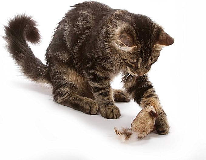 OurPets Play-N-Squeak Twice the Mice Cat Toy, 2 Piece Set, Catnip Filled | Real mouse sound effect, electronic squeaker inside, sparks hunting instinct, engaging design, for indoor felines every day - Image 2