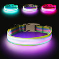 Light Up Dog Collar, Rechargeable LED Dog Collar, Color Changing Dog Collar for Night Walking, Adjustable Lighted Dog Collar for Small Medium Large Dogs, Multicolor Stripe, USB Rechargeable (M) by PZRLit
