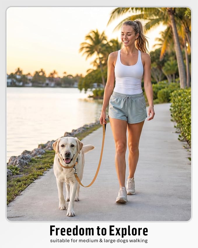 FunTags Reflective Nylon Dog Leash for Medium & Large Dogs, 6FT for Walks | Comfortable Padded Grip, Stay Safe at Night, 360° Anti-Tangle Swivel, for Dog Parks & Trails, Khaki - Image 5