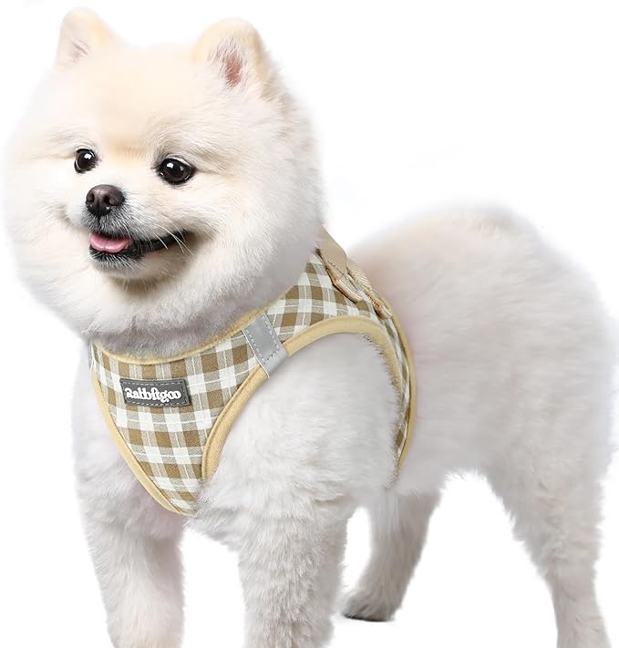rabbitgoo Step-in Small Dog Harness, Puppy Vest for Small Sized Pet | Easy Put on and off, Lightweight, Soft, Breathable Quick-Dry Air Mesh for Comfortable Secure Walking, Beige Check S by rabbitgoo
