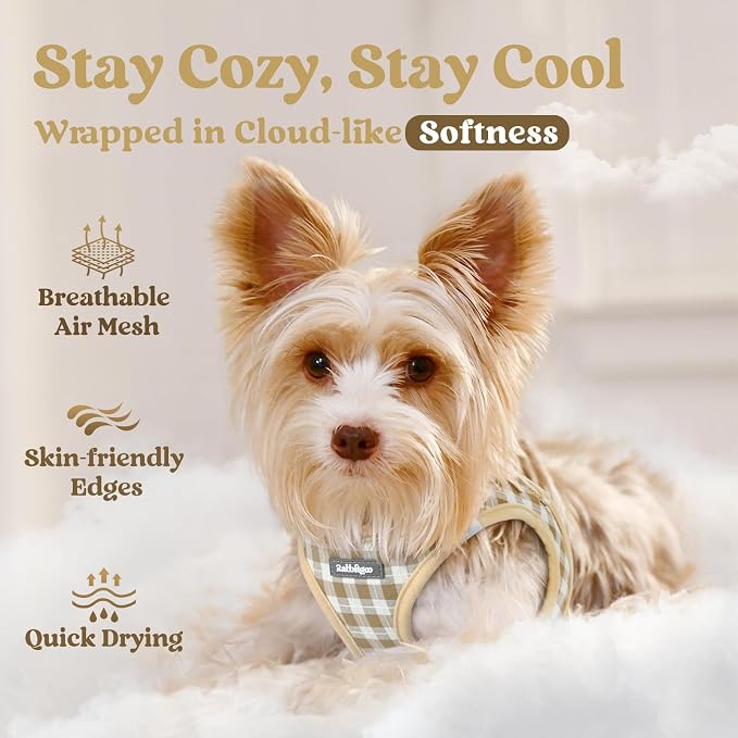 rabbitgoo Step-in Small Dog Harness, Puppy Vest for Small Sized Pet | Easy Put on and off, Lightweight, Soft, Breathable Quick-Dry Air Mesh for Comfortable Secure Walking, Beige Check XS - Image 3