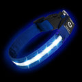 Super Bright LED Dog Collar, Waterproof Light up Collars(Blue, Large) | Lighted Dog Collar with Adjustable Fit, Soft Nylon Comfort, USB-C Rechargeable, Glow in the Dark Visibility for Night Walks by PetIsay