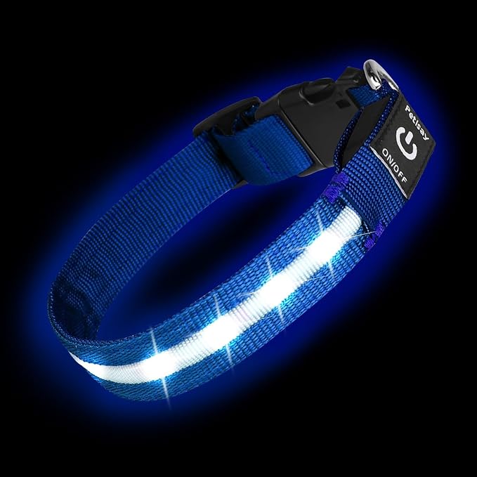 Super Bright LED Dog Collar, Waterproof Light up Collars(Blue, Large) | Lighted Dog Collar with Adjustable Fit, Soft Nylon Comfort, USB-C Rechargeable, Glow in the Dark Visibility for Night Walks by PetIsay