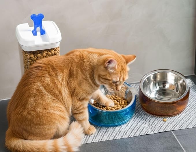 Felli Pet Oblik Whisker Fatigue Cat Food Bowl Raised Stainless Steel Shallow Dish, Pet Design Anti Vomit Tilted Metal Plate Feeder Elevated Acrylic Base(Sapphire, 0.5 Cups Shallow Dish) - Image 6
