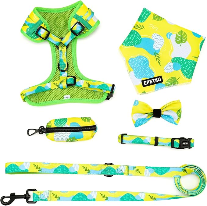 Small Dog Harness and Leash Set of 6, No Pull Soft Lightweight Mesh Puppy Harness， Adjustable Cute Floral Pattern Pet Harness for Small Medium Dogs (Green Leaf, XS) - Image 2