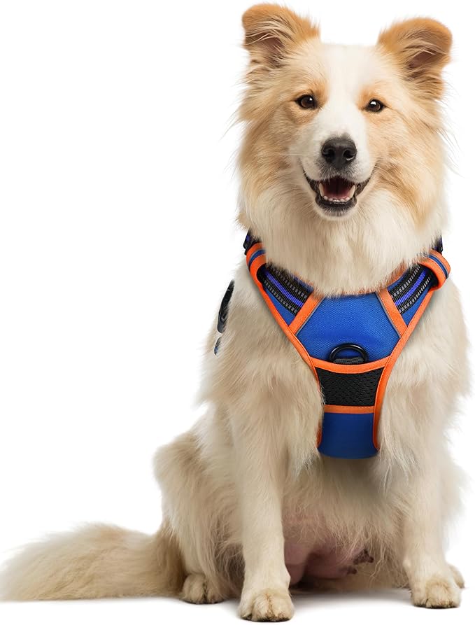 rabbitgoo Dog Harness, No Pull Medium Sized with 2 Leash Clips, Pet Vest | No Choke with Handle, Adjustable Soft Padded, Reflective, Easy Control for Walking, Blue & Orange, Medium by rabbitgoo