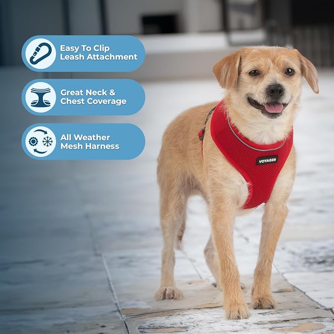 Best Pet Supplies Voyager Aerolite Over the Head Dog Harness, No Pull Breathable Air Mesh Vest, Quick Dry with Reflective Stitching, Adjustable Escape Resistant Harness - Red, Large - Image 5