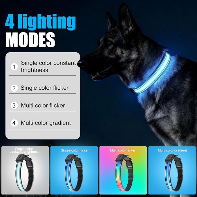 LED Dog Collar Rechargeable, Brightest Light Up Dog Collars, Black L | 1,600 Feet of High Visibility, Magnetic Charging, Glow in Dark Dog, Nylon Materials, Lights for Night Walking - Image 3