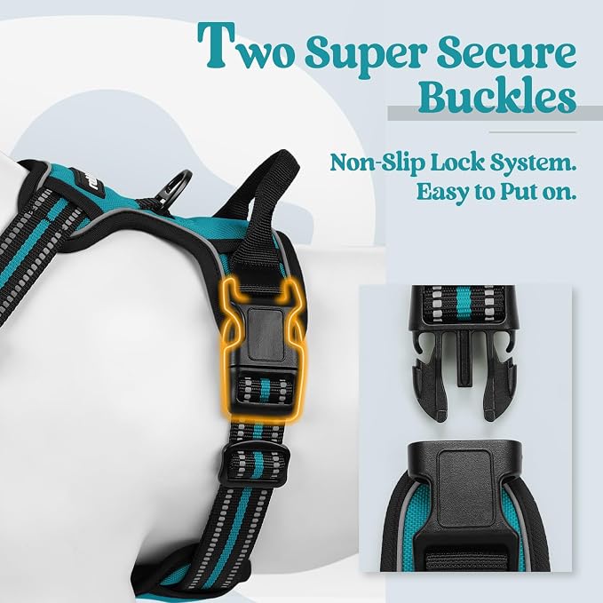 rabbitgoo Dog Harness, No Pull Medium Sized with 2 Leash Clips, Pet Vest | No Choke with Handle, Adjustable Soft Padded, Reflective, Easy Control for Walking, Teal, Medium - Image 3