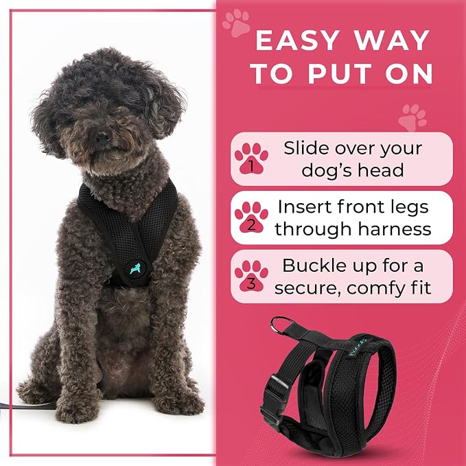 Gooby Comfort X Head-in Dog Harness, Choke-Free, Black, Medium | Patented choke-free X-frame; Secure head-in fit; Lightweight breathable mesh; Back metal D-ring; Machine washable - Image 8