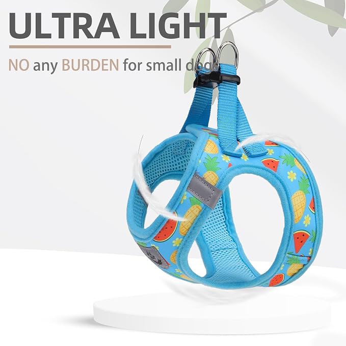 PUPTECK Dog Harness, Collar and Leash Set No Pull for Small Medium Sized | Cute Puppy Step-in Escape Proof Reflective No Choke Pet Cat Adjustable Walking Vest - Image 6