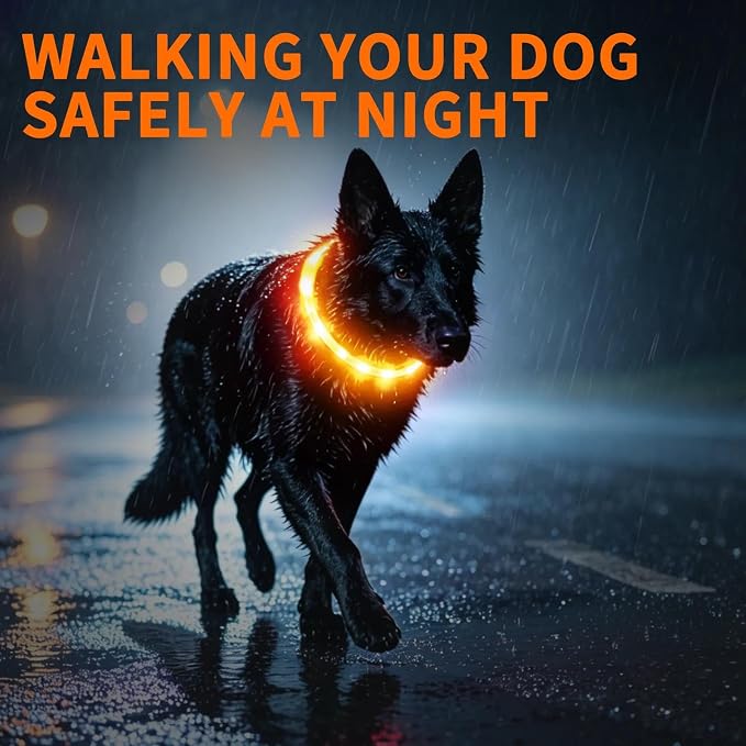 LaRoo LED Dog Collar, USB Rechargeable Flashing Light Dog Collar, Nighttime Safety, Cuttable Size for Small Medium Large Dogs, Makes Your Pet Visible in The Dark (Orange) - Image 8