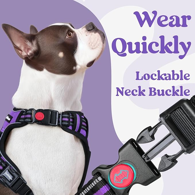 rabbitgoo Dog Harness Small Sized, Updated Easy On & Off with 3 Buckles | No Pull No Choke, Walking with 2 Clips and Handle, Adjustable Soft Reflective, Purple, Small - Image 3
