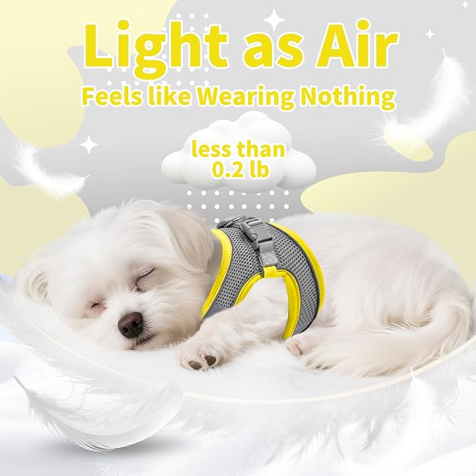 AIITLE Small Dog Harness and Leash Set, Step-in Puppy Pet Vest, Yellow XXXS | Light, Soft, Breathable Air Mesh, Escape-Proof, Easy on and Remove with Hook & Loop, Secure Reflective for Walking - Image 11