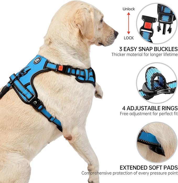 NESTROAD No Pull Dog Harness,Adjustable Oxford Dog Vest Harness with Leash,Reflective No-Choke Pet Harness with Easy Control Soft Handle for Small Dogs(X-Small,Blue) - Image 4