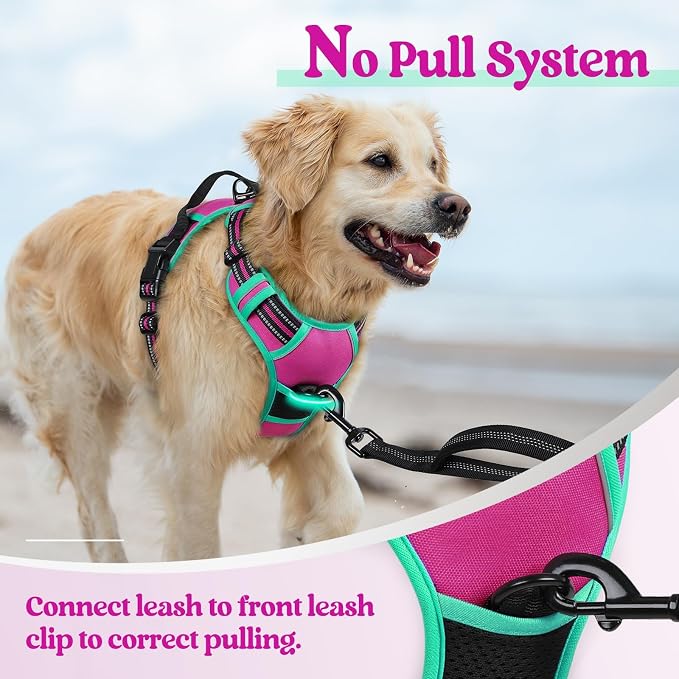 rabbitgoo Dog Harness, No Pull for Large Dogs with 2 Leash Clips, Pet Vest | No Choke with Handle, Adjustable Soft Padded, Reflective, Easy Control for Walking, Hot Pink & Turquoise, X-Large - Image 5