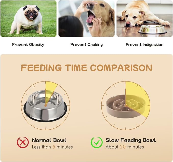 Havniva Elevated Slow Feeder Dog Bowls, Ceramic Dog Bowl Slow Feeder Set | 0.9 Cups Raised Slow Feeder Dog Bowl for Small Breed, 6.1” Dog Water Bowl with Wooden Stand, Puzzle Dog Food Bowl, Non-slip - Image 5
