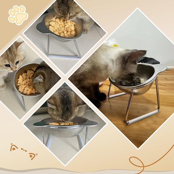 Elevated Cat Bowls with 15° Tilt, Whisker Friendly Raised Cat Food & Water Dishes with Silent Silicone Strip - Anti-Vomiting Small Dog Bowl, 304 Stainless Steel Bowl, Spine Friendly, Dishwasher Safe - Image 9