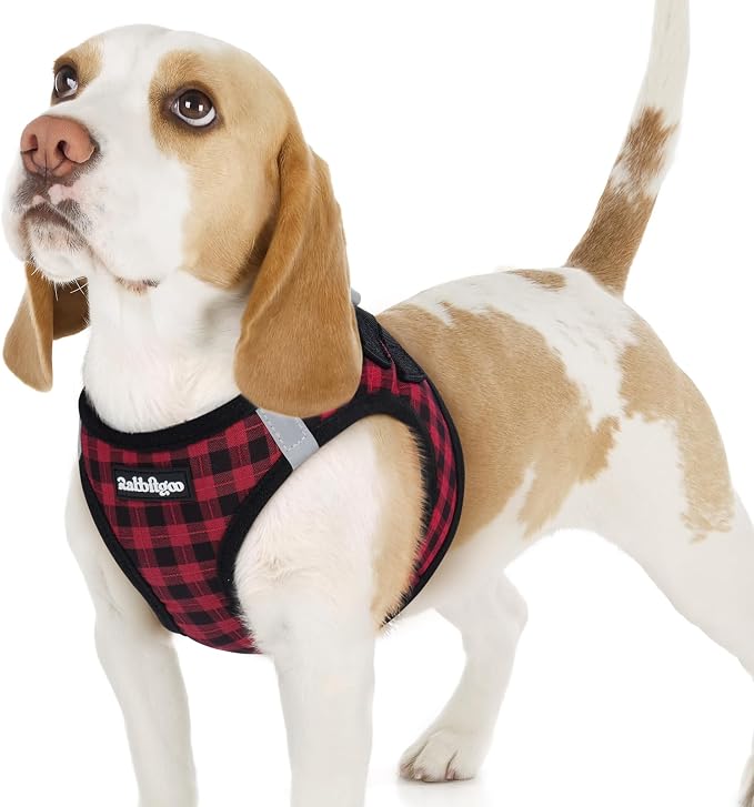 rabbitgoo Step-in Small Dog Harness, Puppy Vest for Small Sized Pet | Easy Put on and off, Lightweight, Soft, Breathable Quick-Dry Air Mesh for Comfortable Secure Walking, Red Check M by rabbitgoo
