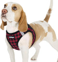 rabbitgoo Step-in Small Dog Harness, Puppy Vest for Small Sized Pet | Easy Put on and off, Lightweight, Soft, Breathable Quick-Dry Air Mesh for Comfortable Secure Walking, Red Check M by rabbitgoo