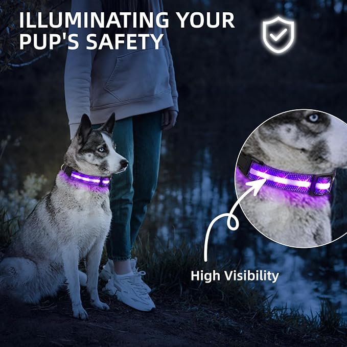 Super Bright LED Dog Collar - Fully Waterproof & Adjustable Glow Collar - USB-C Rechargeable for Night Walking, Safety - Flashing Lighted Collar for Dogs(Purple,Small) - Image 2