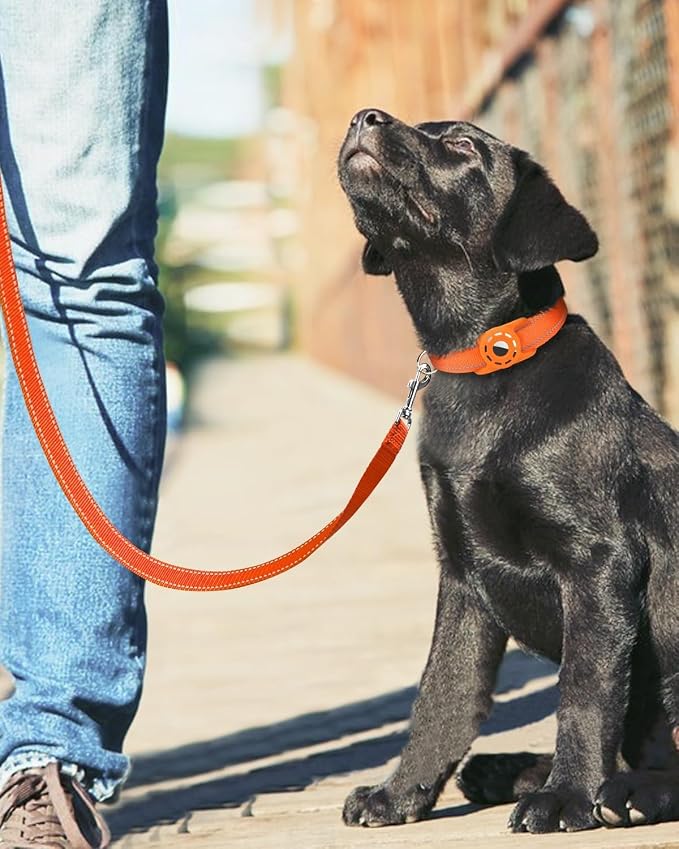 4FT Reflective Dog Leash, Padded Handle for Medium Large Dogs | Comfortable Nylon, Soft Handle Cushioning, Reflective Safety at Night, Training Leash for Park & Hiking (1in, Orange) - Image 5