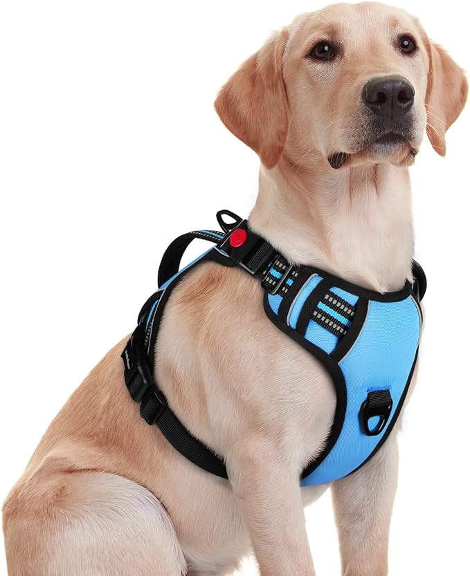 rabbitgoo Large Dog Harness, Easy Wear with 3 Buckles and Lift Handle | No Pull with Front Clip for Walking, Adjustable Soft Padded, Reflective, Easy Control, Light Blue, Medium by rabbitgoo
