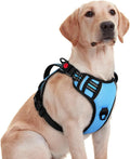 rabbitgoo Large Dog Harness, Easy Wear with 3 Buckles and Lift Handle | No Pull with Front Clip for Walking, Adjustable Soft Padded, Reflective, Easy Control, Light Blue, Medium by rabbitgoo