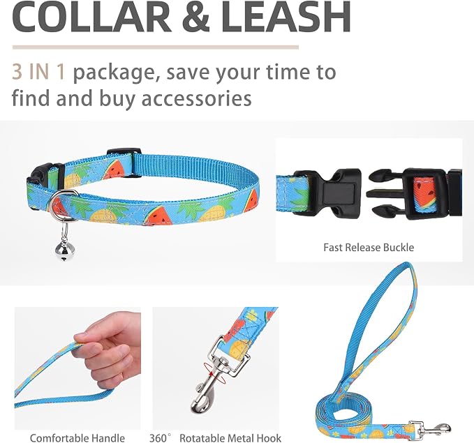 PUPTECK Dog Harness, Collar and Leash Set No Pull for Small Medium Sized | Cute Puppy Step-in Escape Proof Reflective No Choke Pet Cat Adjustable Walking Vest - Image 4