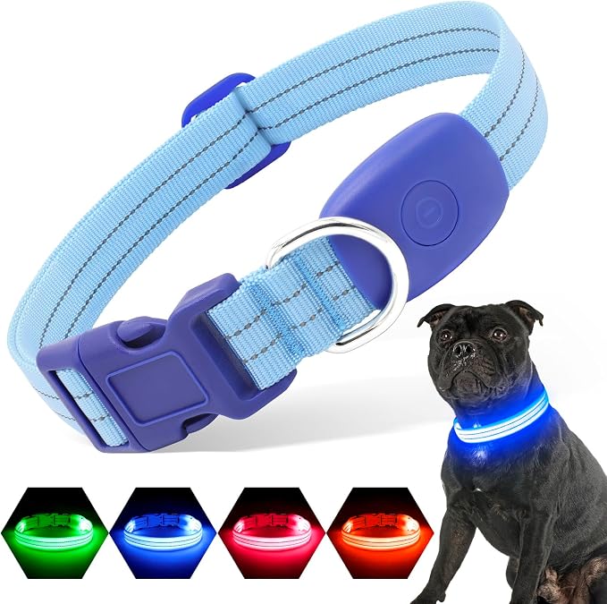 Light Up Dog Collars Rechargeable, Reflective LED Glow Dark Dog Collar for Small Medium Large Dogs, Adjustable Pet Dog Lights for Safe Night Walk-Blue, Large by PZRLit