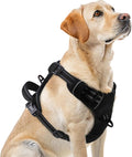 PUPTECK No Pull Dog Harness for Large, Adjustable Reflective Dog Harness with Handle Easy Control, Comfortable Soft Padded Pet Vest Harness for Large Dogs, Black L by PUPTECK