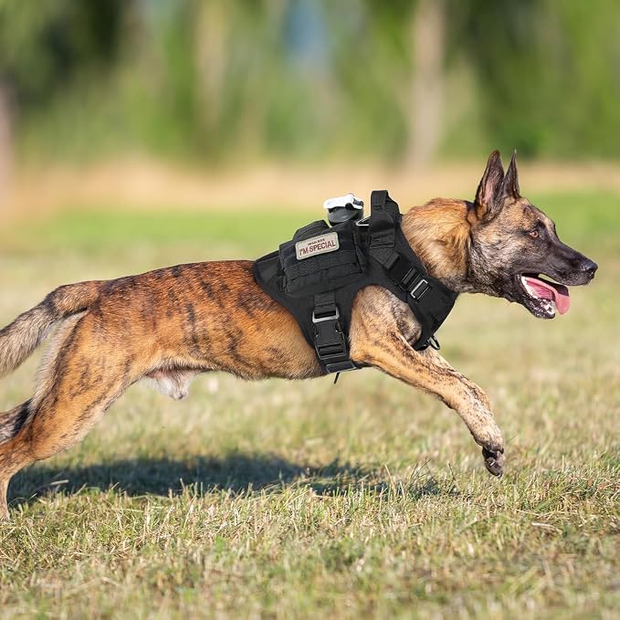 rabbitgoo Tactical Dog Harness for Large, Heavy Duty Military No Pull Vest | Sturdy Metal Buckles, 5 Adjustments, Molle System, Powerful Pullers for Training, Hunting, Outdoor, Black, Large - Image 8