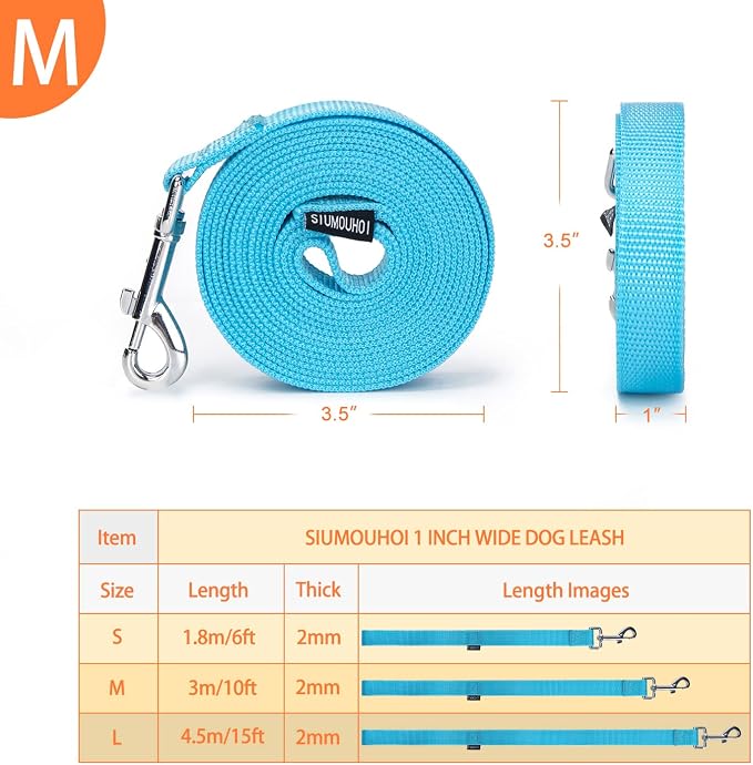 Strong Durable Nylon Dog Training Leash, 1 Inch Wide Traction Rope, 10 ft Long, for Small and Medium Dog (Mint Blue, 10 Feet) - Image 4