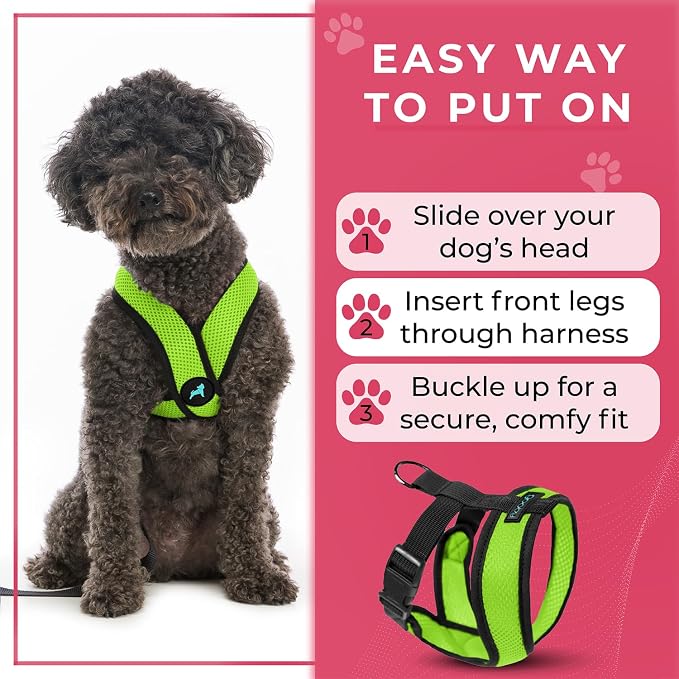 Gooby Comfort X Head-in Dog Harness, Choke-Free, Green, X-Large | Patented choke-free X-frame; Secure head-in fit; Lightweight breathable mesh; Back metal D-ring; Machine washable - Image 8