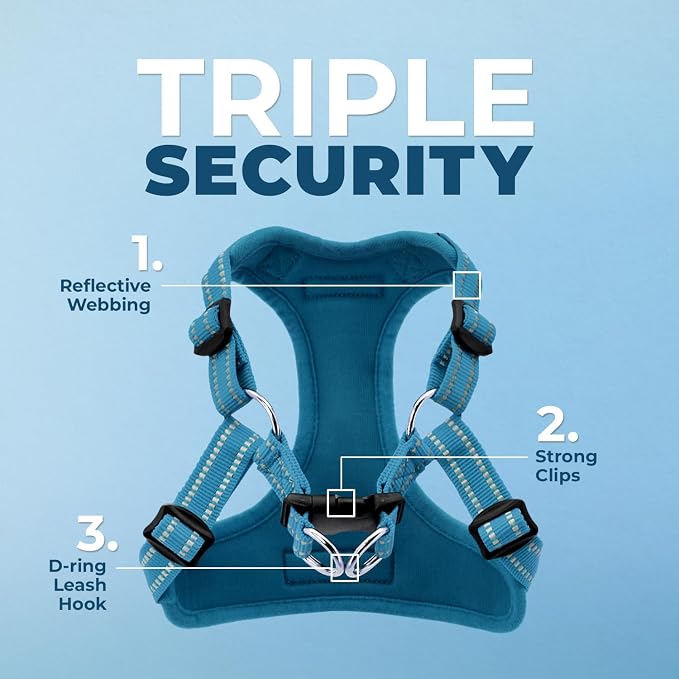 Best Pet Supplies Voyager Adjustable Step-in Flex Breathable Mesh Dog Harness for Small Medium Large Dogs Leash Set (Turquoise), M - Image 2