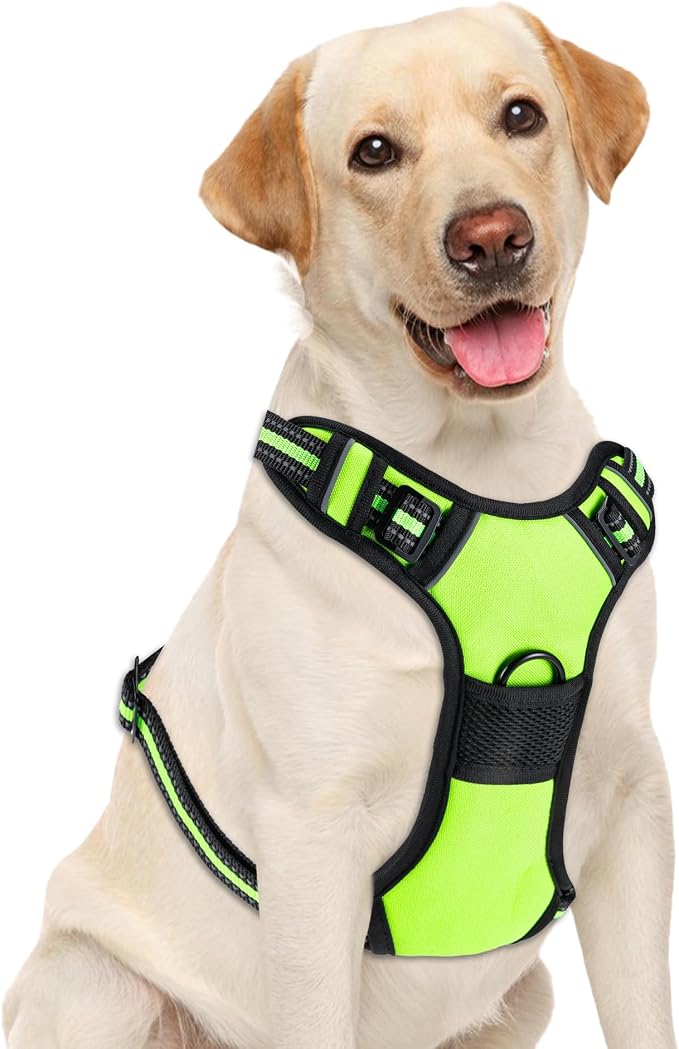 No Pull Dog Harness, Adjustable Reflective Front Clip Pet Vest with Easy Control Handle for Medium Large Dogs (Green,XL) by Unknown