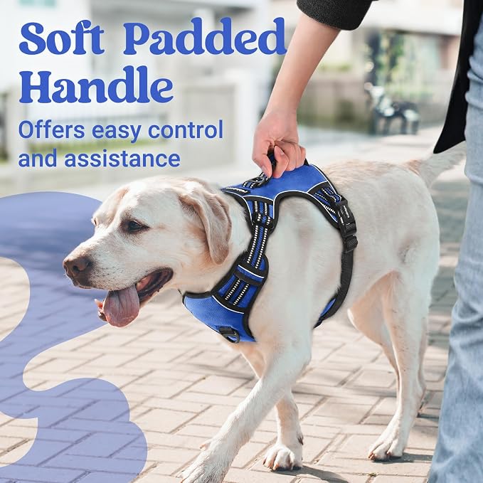 rabbitgoo Large Dog Harness, Easy Wear with 3 Buckles and Lift Handle | No Pull with Front Clip for Walking, Adjustable Soft Padded, Reflective, Easy Control, Blue, Medium - Image 2
