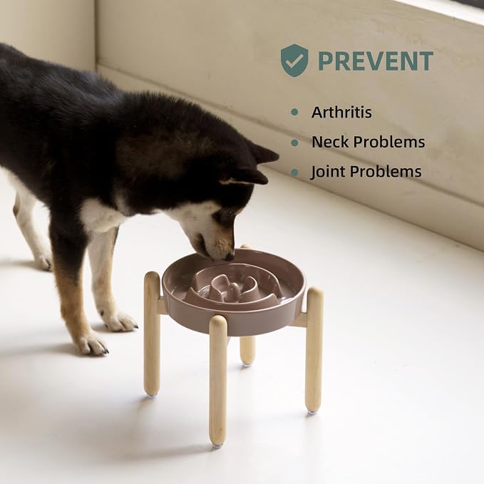 Havniva Elevated Slow Feeder Dog Bowls, Ceramic Dog Bowl Slow Feeder | 1.6 Cups Raised Slow Feeding Bowl for Medium Breed, Puzzle Dog Food Bowl with Wooden Stand, Non-Slip, Anti-Choking - Image 5