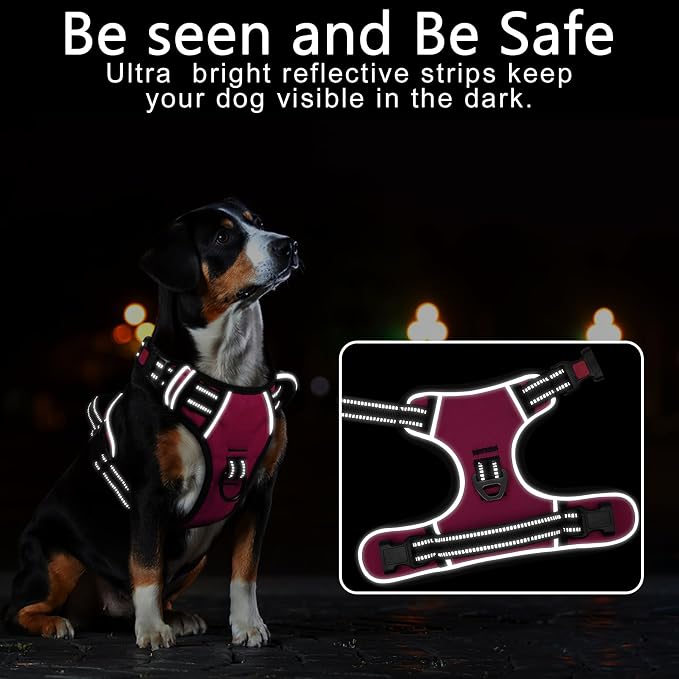 Timos Dog Harness, Front Clip No Pull Medium Sized with Handle, Rosy, M | No Choke, Adjustable Reflective Soft Padded, Quick Release 3 Buckles, Easy On & Off, Front & Back 2 Clips for Outdoor Walking - Image 2