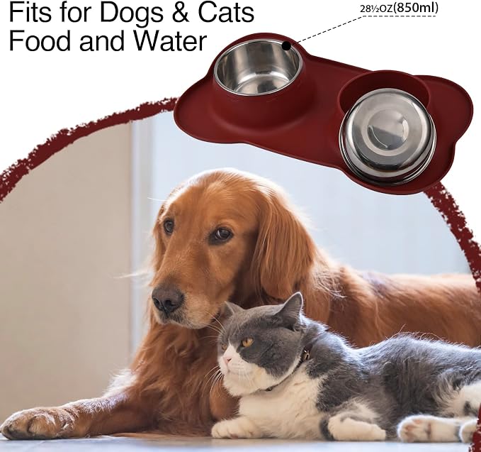 Dog Bowls 2 Stainless Steel Bowl for Pet Water and Food Feeder with Non Spill Skid Resistant Silicone Mat for Pets Puppy Small Medium Cats Dogs - Image 6