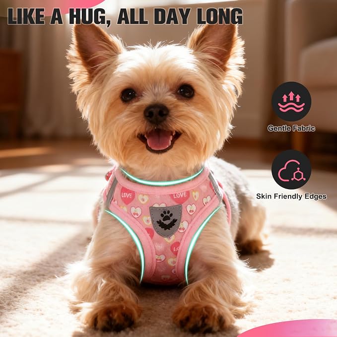 Small Dog Harness and Leash Set - Cute Puppy Harness Leash Dog Collar with AirTag Holder Silicone Case, Soft Padded Step in Pet Vest Reflective for Outdoor Walking, Heart S - Image 9