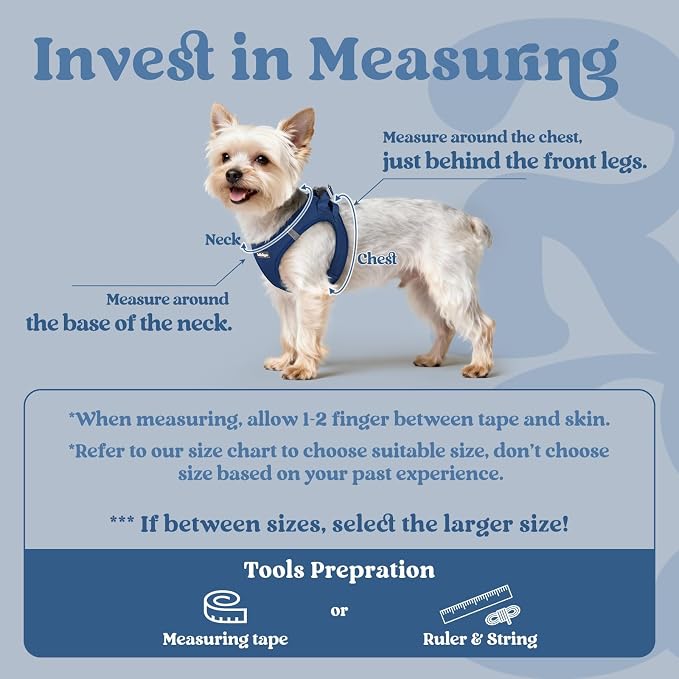 rabbitgoo Step-in Small Dog Harness, Puppy Vest for Small Medium Sized Pet | Easy Put on and off, Lightweight, Soft, Breathable Quick-Dry Air Mesh for Comfortable Secure Walking, Navy Blue XL - Image 2