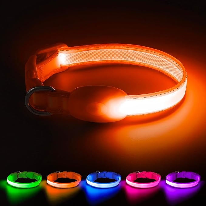 Light up Collar for Small Dog,Vizpet XS Adjustable Size Nylon Led Collar | USB Rechargeable Bright Safety Pet Collar for Cats Small Dogs (Orange, X-Small[ 8.66-11.9 inch/22cm-30cm]) by VIZPET