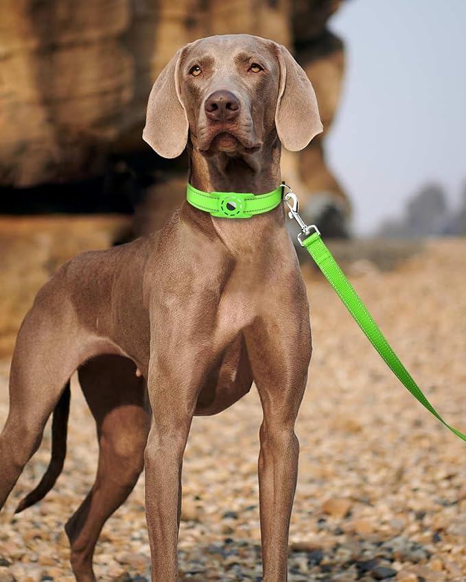 6FT Reflective Dog Leash, Padded Handle for Medium Large Dogs | Comfortable Nylon, Soft Handle Cushioning, Reflective Safety at Night, Walking Leash for Park & Hiking (1in, Green) - Image 2