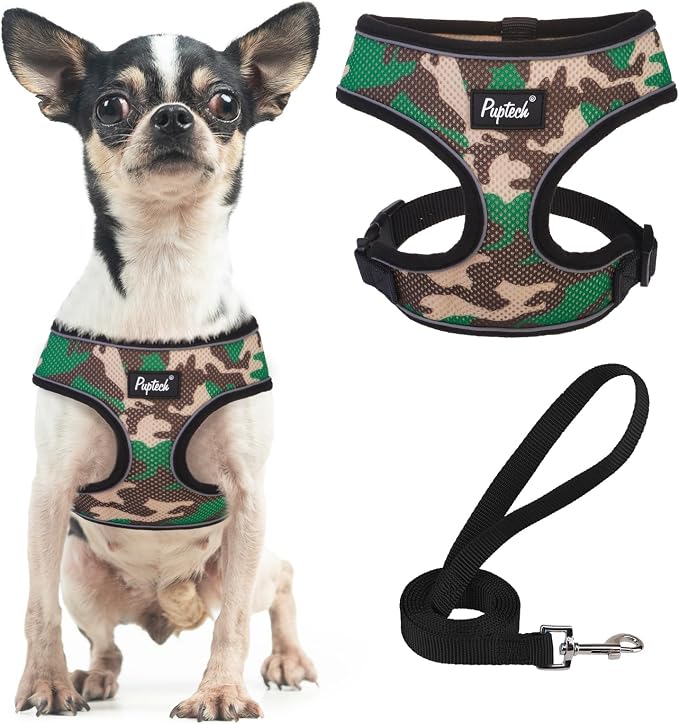 PUPTECK Small Dog Harness and Leash Set No Pull for XS XXS Sized Dogs Puppy | Escape Proof No Choke Pet Cat Adjustable Soft Padded Walking Vest by PUPTECK