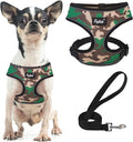 PUPTECK Small Dog Harness and Leash Set No Pull for XS XXS Sized Dogs Puppy | Escape Proof No Choke Pet Cat Adjustable Soft Padded Walking Vest by PUPTECK