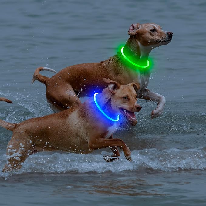 Light Up Dog Collar 2-Pack, USB Rechargeable for Small to Large Dogs | Rechargeable LED Glow Dog Collar with 3 Light Modes, Waterproof, Adjustable 12–25 Inches for Safe Night Walking - Image 6
